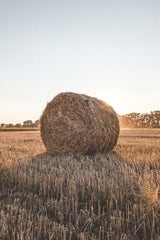Hay bale in a field with a clear sky