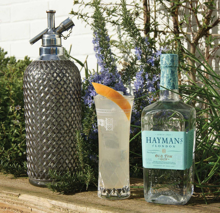 Hayman's gin bottle with a cocktail and decorative bottle on a natural background