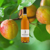 Bottle of Giffard Abricot Du Roussillon, over blurred image of apricots on a tree branch.