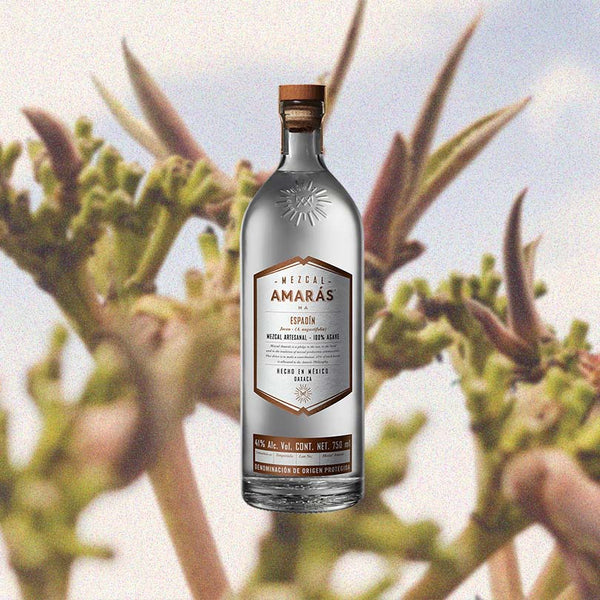 Bottle of Mezcal Amarás Espadin Joven over backdrop of unidentifiable greens.