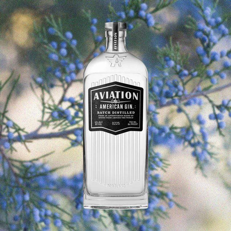 Bottle of Aviation Gin over backdrop of tree with blue buds or blueberries.