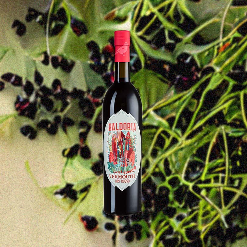 Bottle of Baldoria Dry Rosso Vermouth over background image of berries.