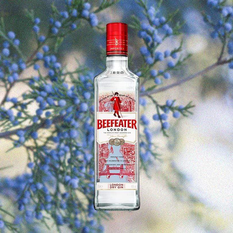 Bottle of Beefeater Long Dry Gin over backdrop of blue flowers
