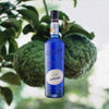 Bottle of Giffard Blue Curacao over backdrop of fruit tree.