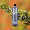 Bottle of Bols Genever over backdrop of pine and blueberries.