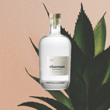 Bottle of Chareau Aloe Liqueur light sky backdrop with faded plant.