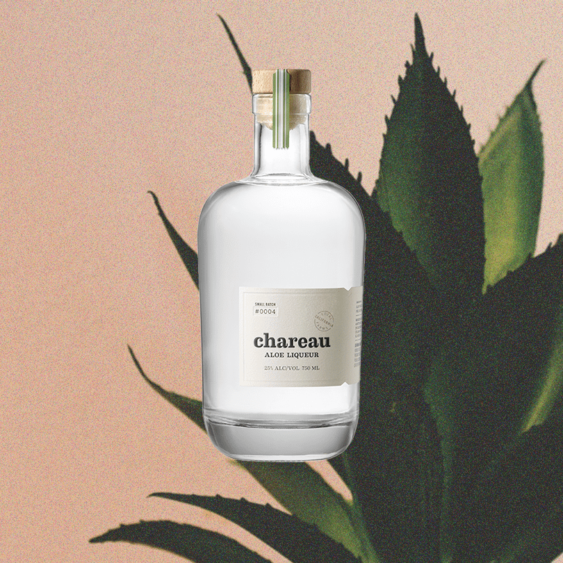 Bottle of Chareau Aloe Liqueur light sky backdrop with faded plant.