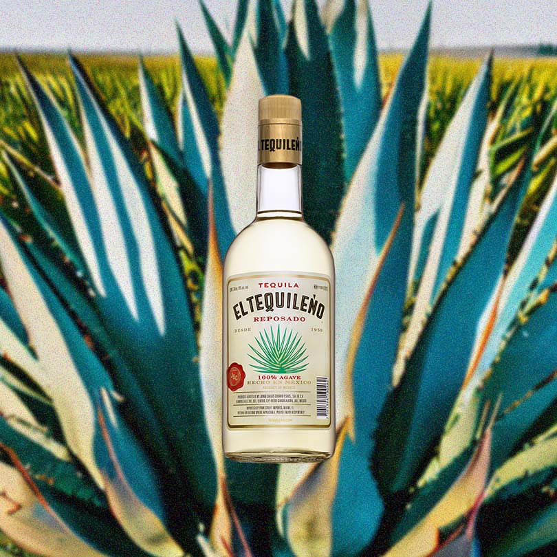 Bottle of El Tequileno Reposado Tequila over backdrop of agave plant.