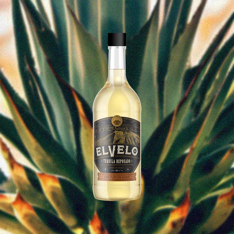 Bottle of ElVelo Reposado Tequila over backdrop of agave leaves.