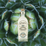 Bottle of Fortaleza Tequila Blanco transposed over a backdrop of a vibrant green agave plant.
