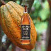 Bottle of Havana Club Puerto Rican Rum and large island fruit.