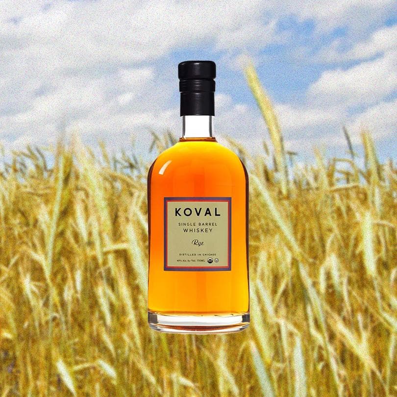 Bottle of Koval Single Barrel Rye Whiskey. Backdrop of grain farm with blue sky and clouds.