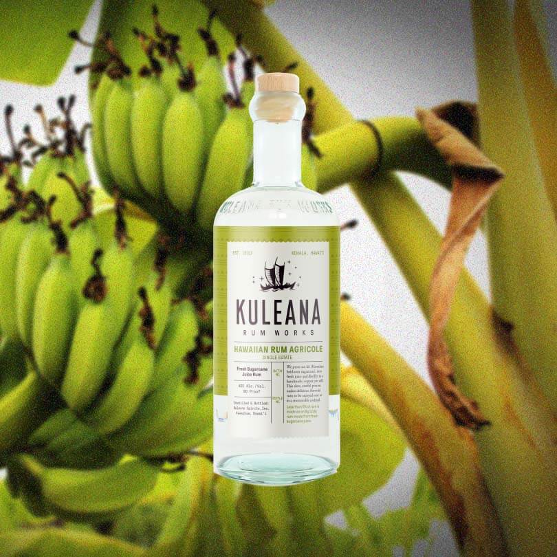 Bottle of Kuleana Hawaiian Rum Agricole over backdrop image of a green plant.