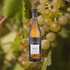 Bottle of Lustau Manzanilla Papirusa Sherry, over blurred background of green grapes on the vine.