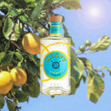 750 ml bottle of Malfy Con Limone Gin over backdrop of blue sky and lemon tree.
