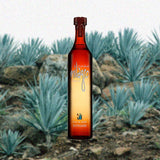 750ml bottle of Milagro Reposado Tequila over backdrop of agave plants.