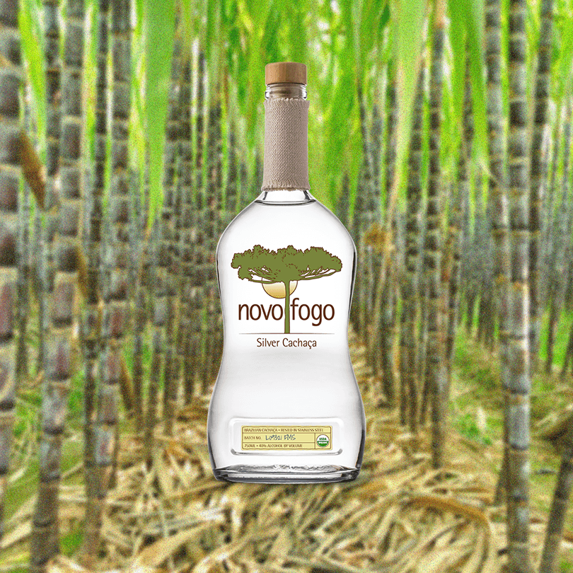 Bottle of Novo Fogo Silver Cachaça over backdrop of a bamboo field.