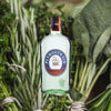 Bottle of Plymouth Gin over backdrop of green herbs.