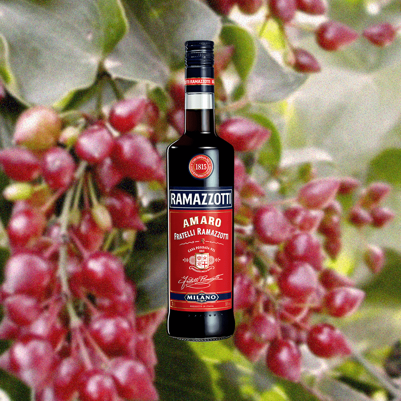 Bottle of Ramazzotti Amaro over a blurred background of dark red berries.