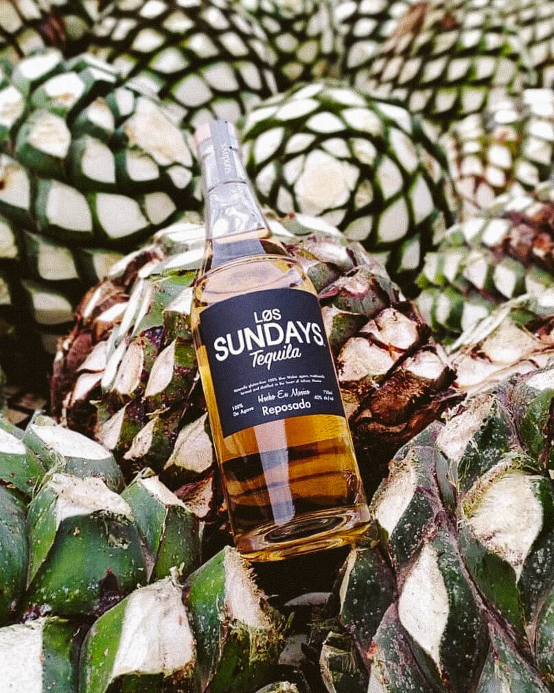 Bottle of Los Sundays Reposado Tequila laying on top of agave plant.