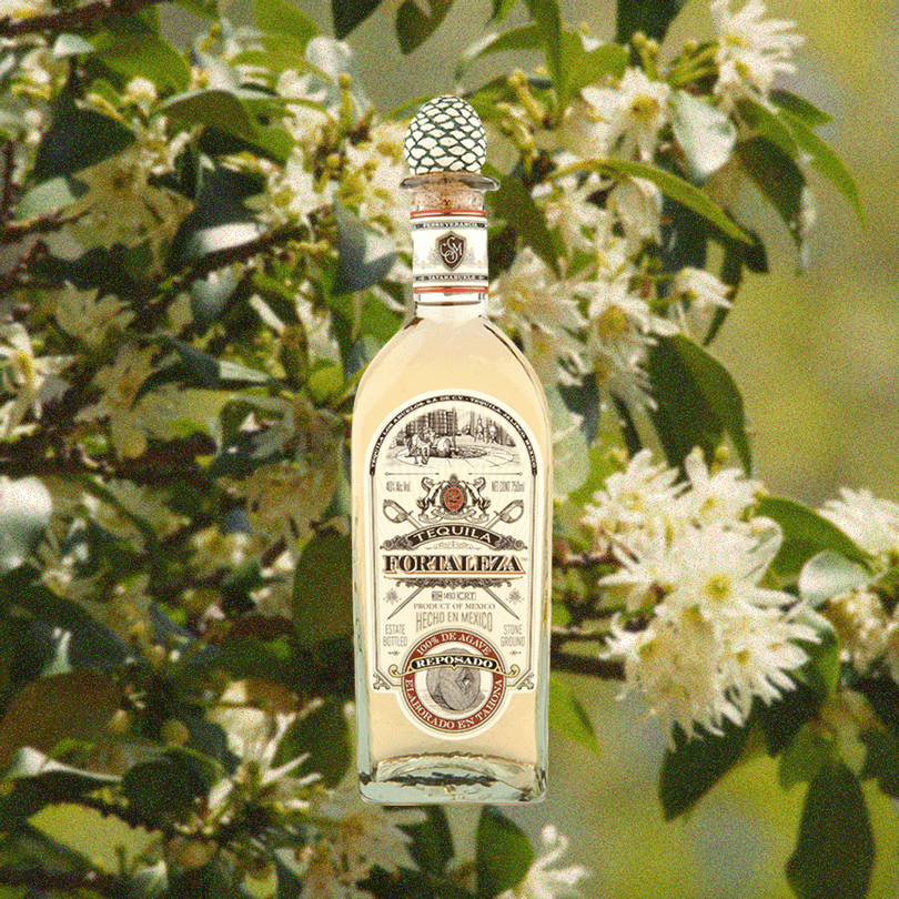 Bottle of Fortaleza Tequila Reposado imposed over a faded plant with white flowers