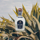 Bottle of Siete Leguas Tequila Blanco over backdrop of faded agave plant painting.
