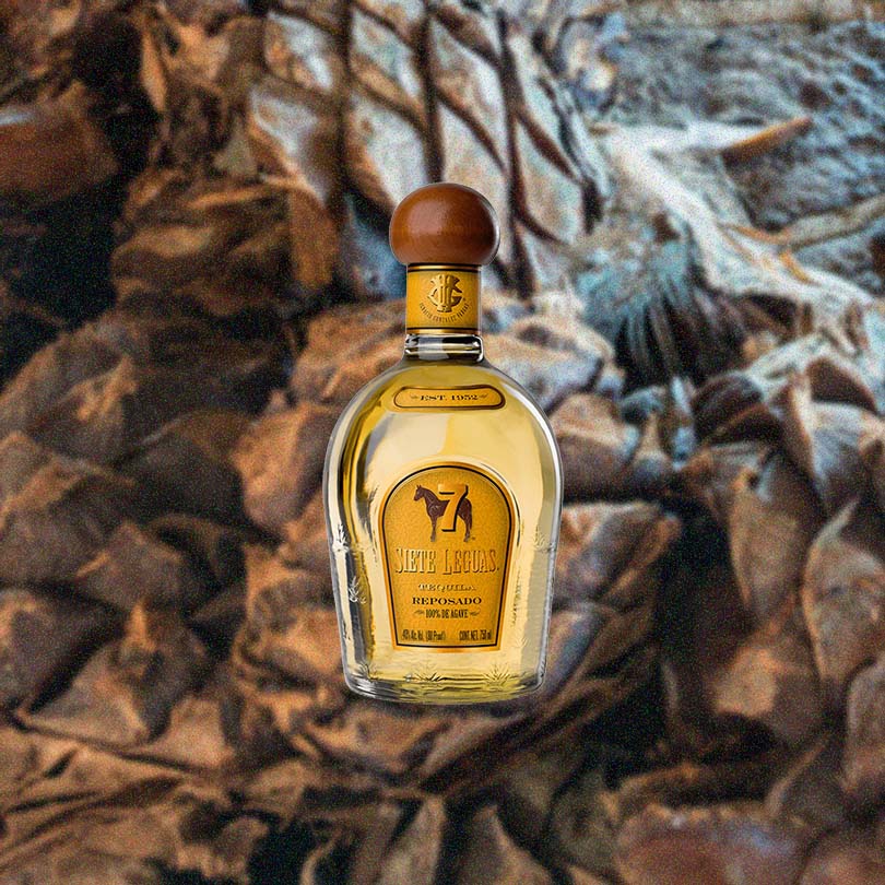 Bottle of Siete Leguas Reposado Tequila over dried agave backdrop.