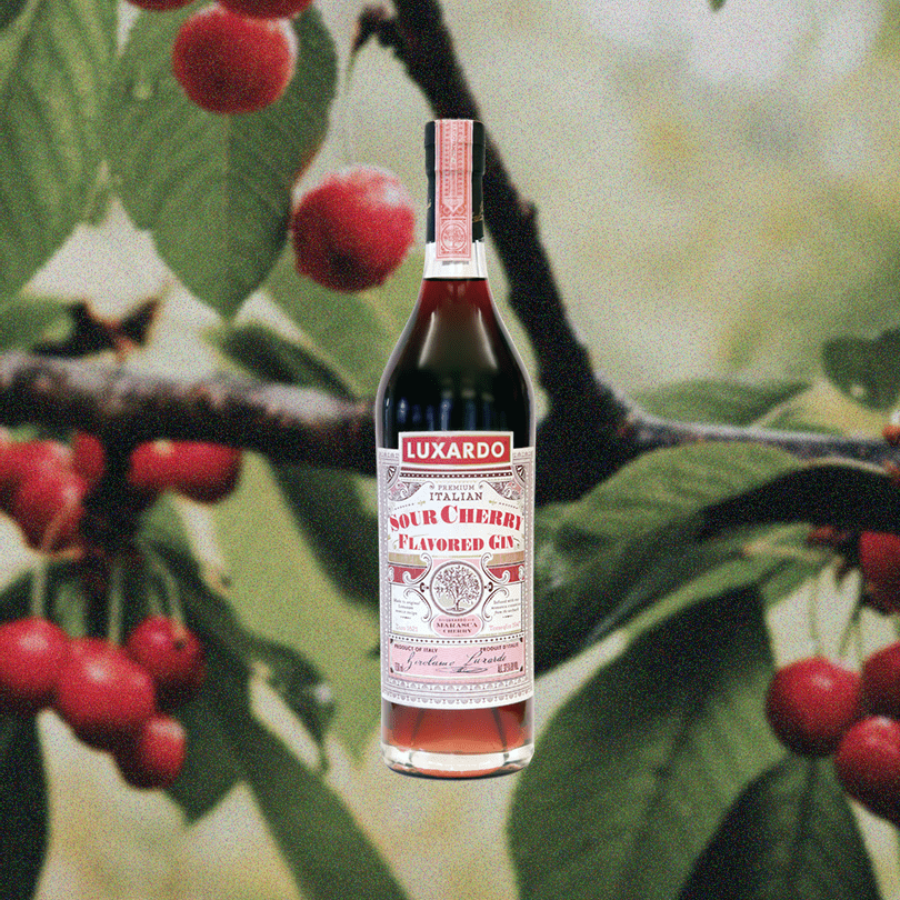 Bottle of Luxardo Sour Cherry Gin over a closeup image of cherry tree branch.