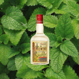 Bottle of Tempus Fugit Crème De Menthe over backdrop of bright green mint.
