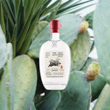 Bottle of The Lost Explorer Espadín Mezcal over background image of agave plant.