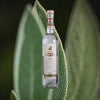 Bottle of Xicaru Silver Mezcal over background image of agave.