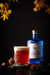 Bottle of Drumshanbo Gunpowder Irish Gin behind a red cocktail in a dark, fall setting.